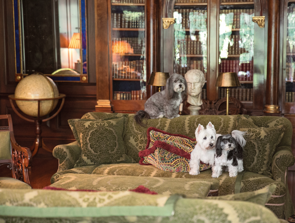 At Home with Dogs and Their Designers: Sharing a Stylish Life